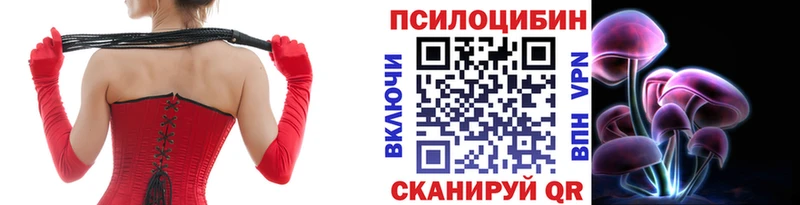 купить наркотики цена  Купино  Псилоцибиновые грибы Psilocybe 